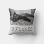 猫はここで寝る クッション (裏面)