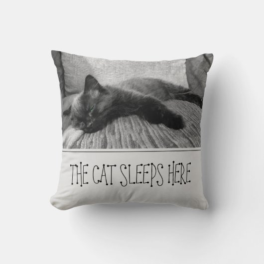 猫はここで寝る クッション (正面)