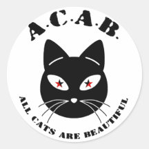 猫はみんな美しい