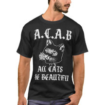 猫はみんな美しい