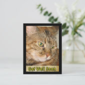 猫はもうすぐ元気になる ポストカード (スタンド正面)