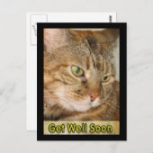猫はもうすぐ元気になる ポストカード (正面/裏面)
