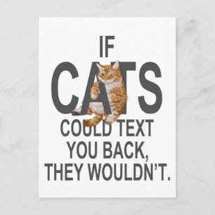猫はもし文字できる、戻れなおもしろいい ポストカード