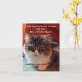 猫はもし誕生日 カード (黄色い花)