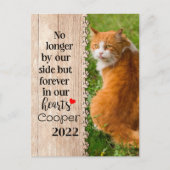 猫はもはや我々の側ではなく、永遠にハートに ポストカード (正面)