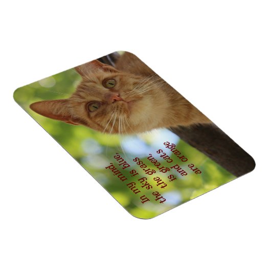 猫はオレンジ マグネット (右側)