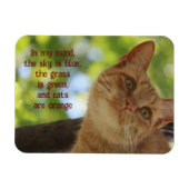 猫はオレンジ マグネット (横)