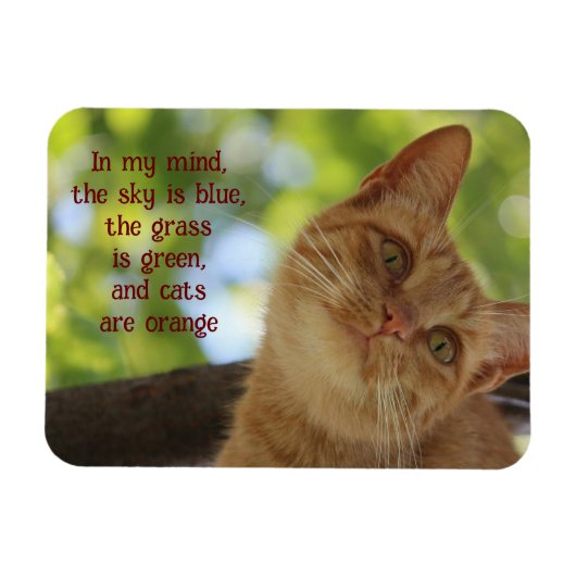 猫はオレンジ マグネット (横)