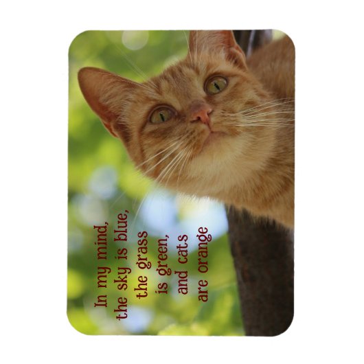 猫はオレンジ マグネット (縦)