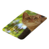 猫はオレンジ マグネット (左側)