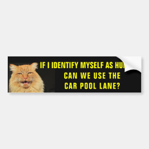 猫はカープール車線に彼自身を識別します バンパーステッカー