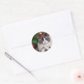 猫はクリスマスツリーのおもしろい ラウンドシール (封筒)