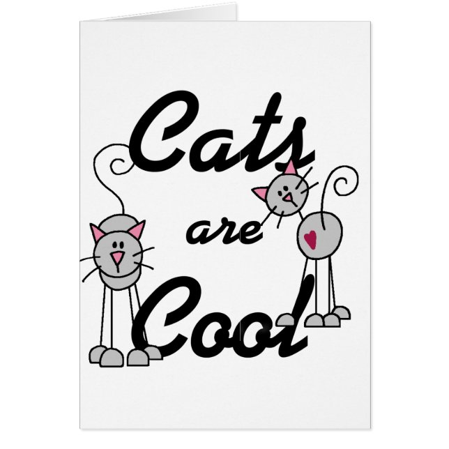 猫はクールTシャツとプレゼント (正面)