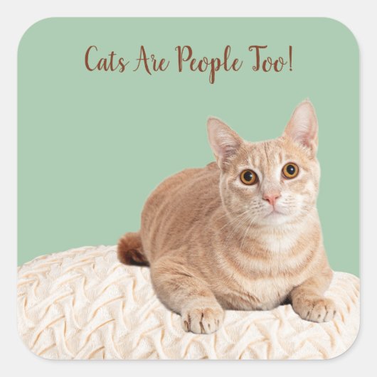 猫はステッカーが多い スクエアシール (正面)