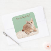 猫はステッカーが多い スクエアシール (封筒)