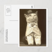 猫はスーツと帽子を着て！ ポストカード (正面/裏面)