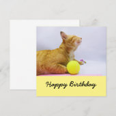 猫はテニス遊ボールの誕生日カード (正面/裏面)