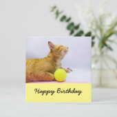 猫はテニス遊ボールの誕生日カード (スタンド正面)