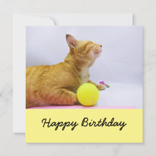 猫はテニス遊ボールの誕生日カード