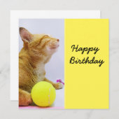 猫はテニス遊ボールの誕生日カード (正面/裏面)