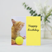猫はテニス遊ボールの誕生日カード (スタンド正面)