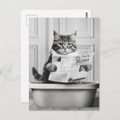 猫はトイレに座って、猫は読ニュースだ ポストカード (正面/裏面)