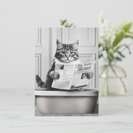 猫はトイレに座って、猫は読ニュースだ 招待状 (スタンド正面)