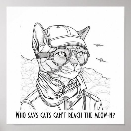 猫はニャーニャーに届かないって誰が言うの？おもしろい猫 ポスター (正面)