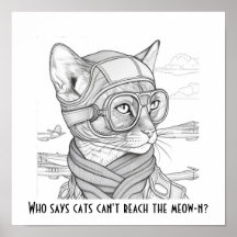 猫はニャーニャーに届かないって誰が言うの？アビシニアン