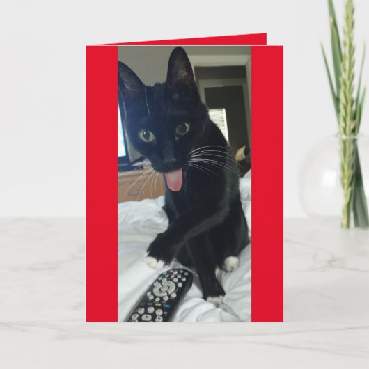 猫はバレンタインデーにリモートおもしろい シーズンカード (正面)