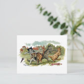 猫はパンチを食らわす ポストカード (スタンド正面)