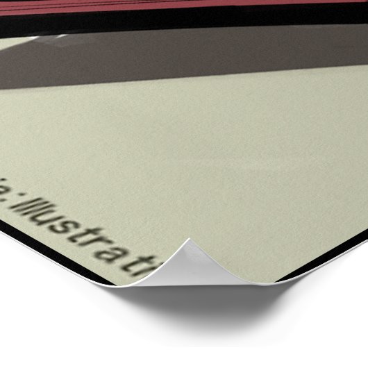 猫はピアノのポスターでも全てを操る ポスター (角)