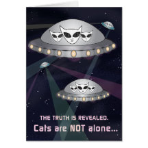 猫は一人じゃない!