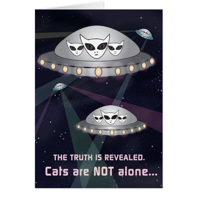 猫は一人じゃない！ (正面)