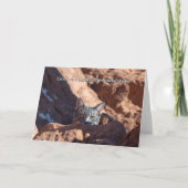 猫は不思議なフォーク 案内状 (正面)