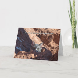 猫は不思議なフォーク 案内状