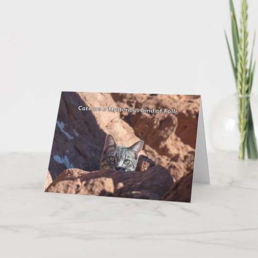 猫は不思議なフォーク 案内状 (正面)