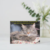 猫は優れたミーム ポストカード (スタンド正面)