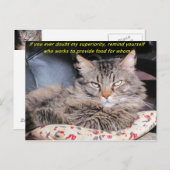 猫は優れたミーム ポストカード (正面/裏面)