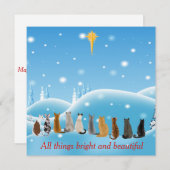 猫は動物の中で宗教的に人気 シーズンカード (正面/裏面)