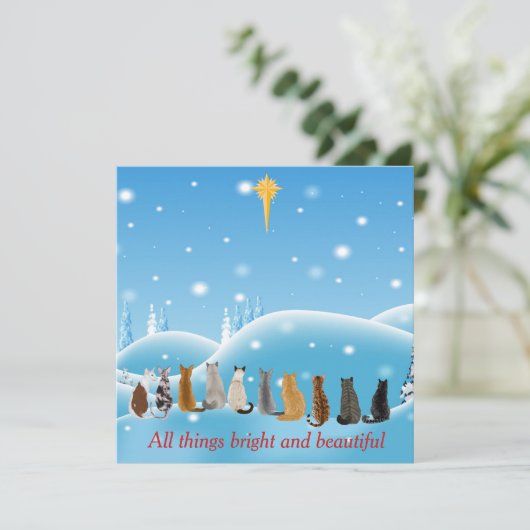 猫は動物の中で宗教的に人気 シーズンカード (スタンド正面)