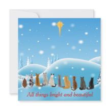 猫は動物の中で宗教的に人気