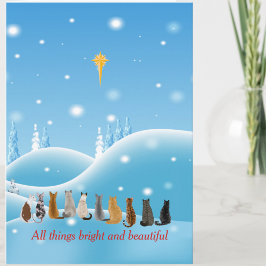 猫は動物の中で宗教的に人気 シーズンカード