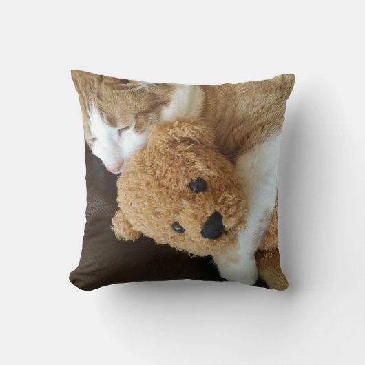 猫は古いテディー・ベアを握ります クッション (正面)