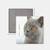 猫は可愛い マグネット (正面/裏面)