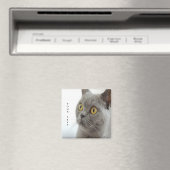 猫は可愛い マグネット (インサイチュ (食洗機))