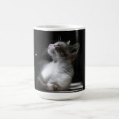 猫は天使の猫マグ コーヒーマグカップ (中央)