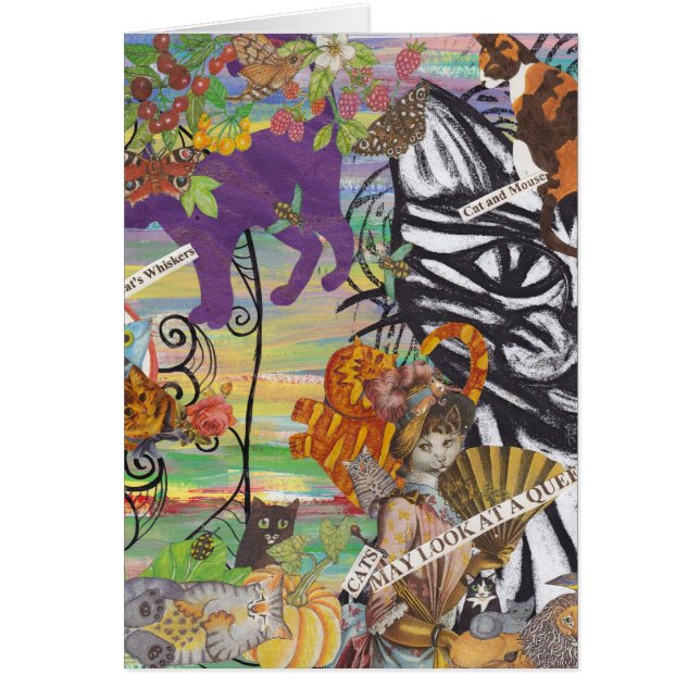 猫は女王カードを見るかもしれません (正面)