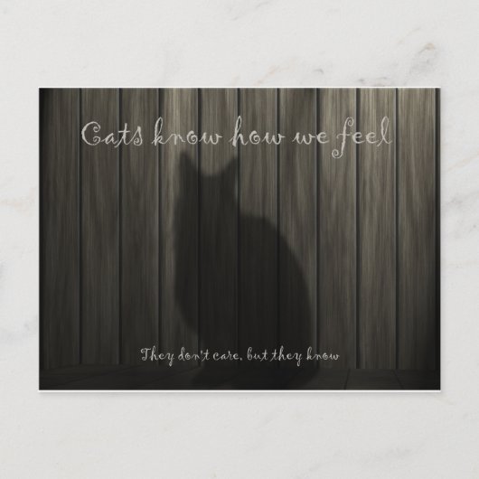 猫は我々の事を感じ知る ポストカード (正面)