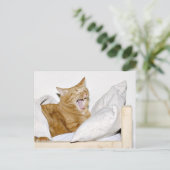 猫は朝が嫌いだ ポストカード (スタンド正面)